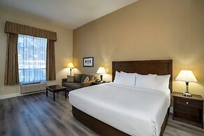 Comfort Inn Surrey Hotel