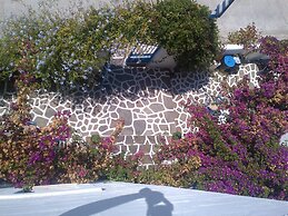 Pelagos Studios