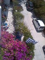Pelagos Studios
