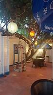 Paradise Village Beach Resort