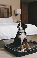 Hyatt Vancouver Downtown Alberni