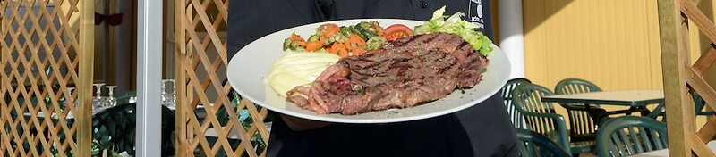 Cit'Hotel Restaurant Bowling de Millau