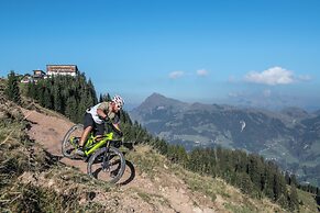 Aktiv Hotel Schweizerhof - Kitzbühel