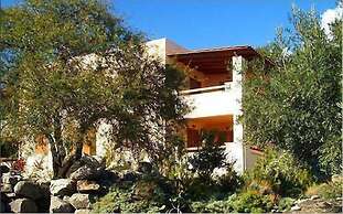 Phoenix Apartments