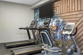Best Western Plus Dartmouth Hotel & Suites