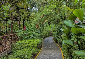 Pachira Lodge