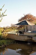 The Durham Ox