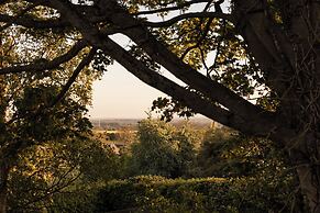 The Durham Ox