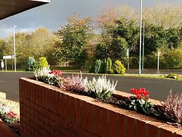 Swan Studios