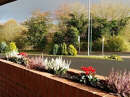 Swan Studios