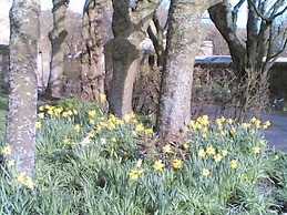 Carlton Seamill B&B