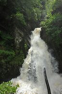 The Hafod Hotel
