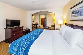 Comfort Inn And Suites Edson
