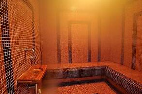 Hotel Lemi