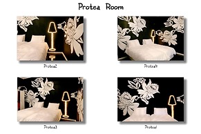 Daddy Long Legs Art Hotel