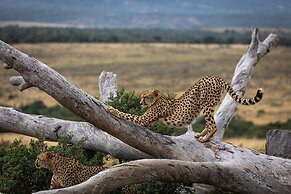 Pumba Private Game Reserve