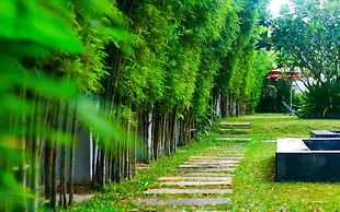Palm Grove Resort