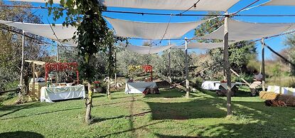 Fattoria Terranova