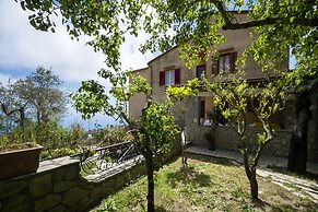 Fattoria Terranova