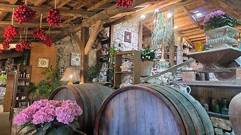 Fattoria Terranova