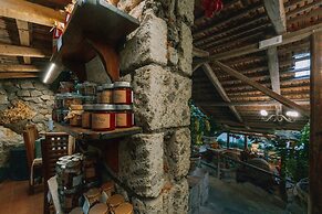 Fattoria Terranova