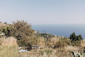 Fattoria Terranova