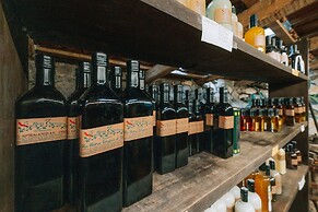 Fattoria Terranova