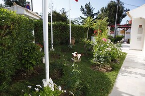 Muthu Balaia Sol