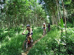 Elixir Koh Yao Yai