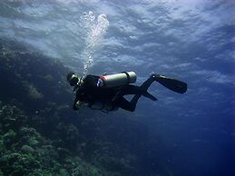 Oonas Dive Club