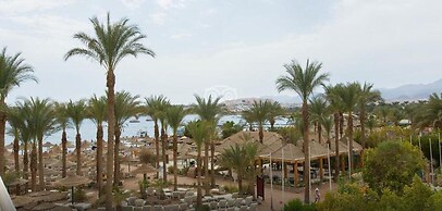 Oonas Dive Club