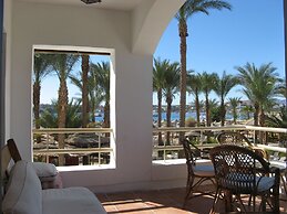 Oonas Dive Club