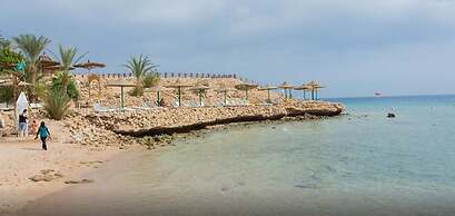 Oonas Dive Club