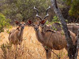 Zebra Nature Reserve
