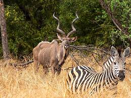 Zebra Nature Reserve
