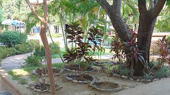Quinta Minera