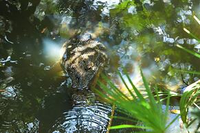 Midas Belize
