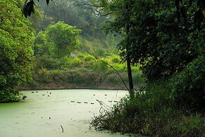 Midas Belize