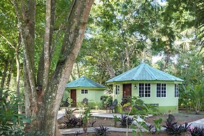 Midas Belize