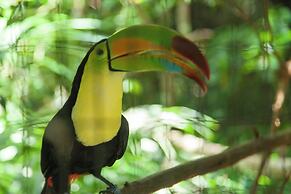 Midas Belize