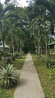 Midas Belize