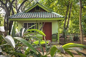 Midas Belize