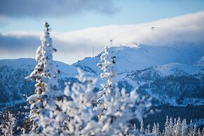 Copperhill Mountain Lodge