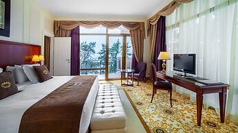 Georgia Palace Hotel & SPA