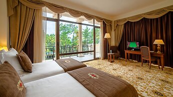 Georgia Palace Hotel & SPA