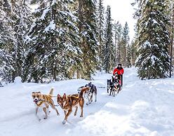 Lapland Hotels Luostotunturi
