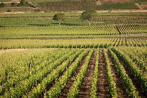 KYRIAD PRESTIGE BEAUNE - Le Panorama