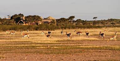 Suricate Tented Lodge