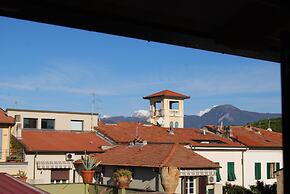 B&B Burlamacco Gold