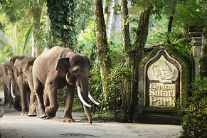 Mason Elephant Lodge